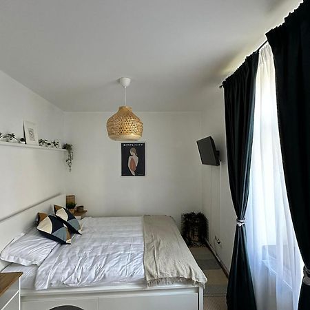 Zen Studio Брашов Экстерьер фото