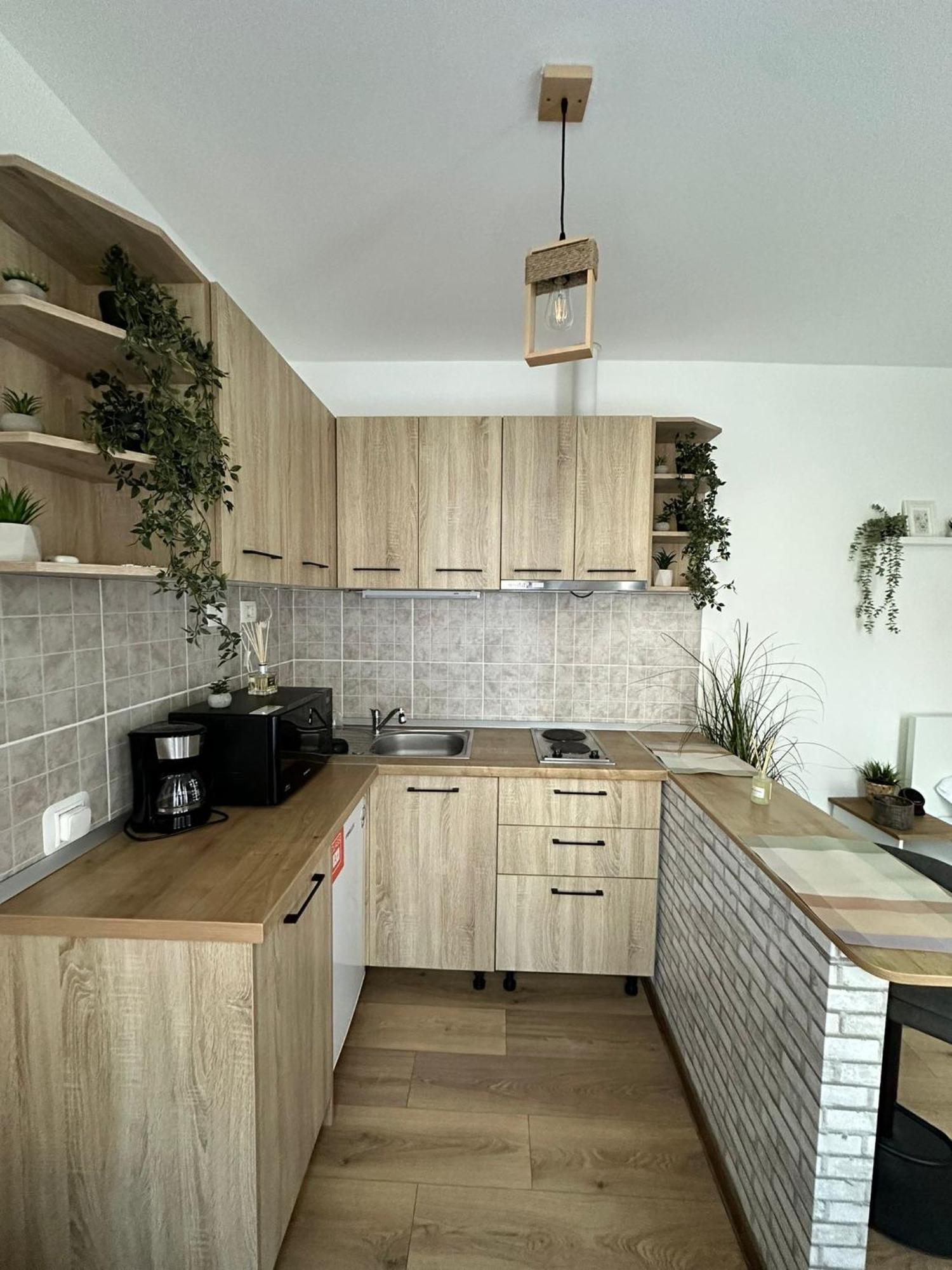 Zen Studio Брашов Экстерьер фото